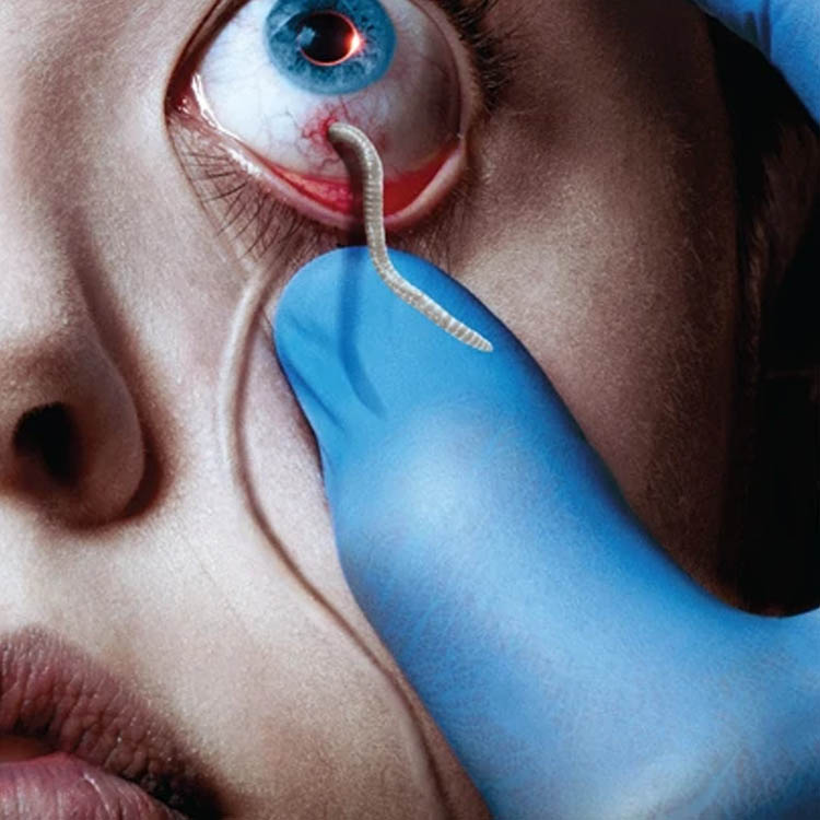 The Strain: Season 1